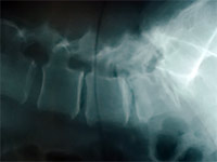 Station�re und Ambulante Operationen